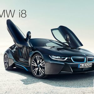 BMW i8 + Custom Louis Vuitton Luggage to Fit - Together, Exclusively on  CharityBuzz for Oceana